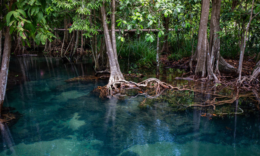 Thailand Ultimate Adventure