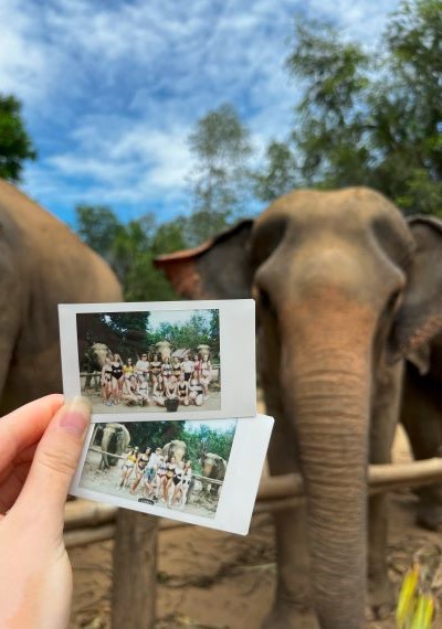 elephant sanctuary visit in thailand