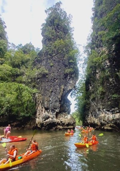 Mangrove Kayak