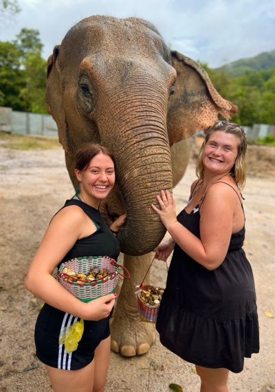 volunteering with elephants in Thailand