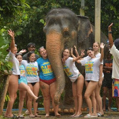 Camp Thailand Elephant