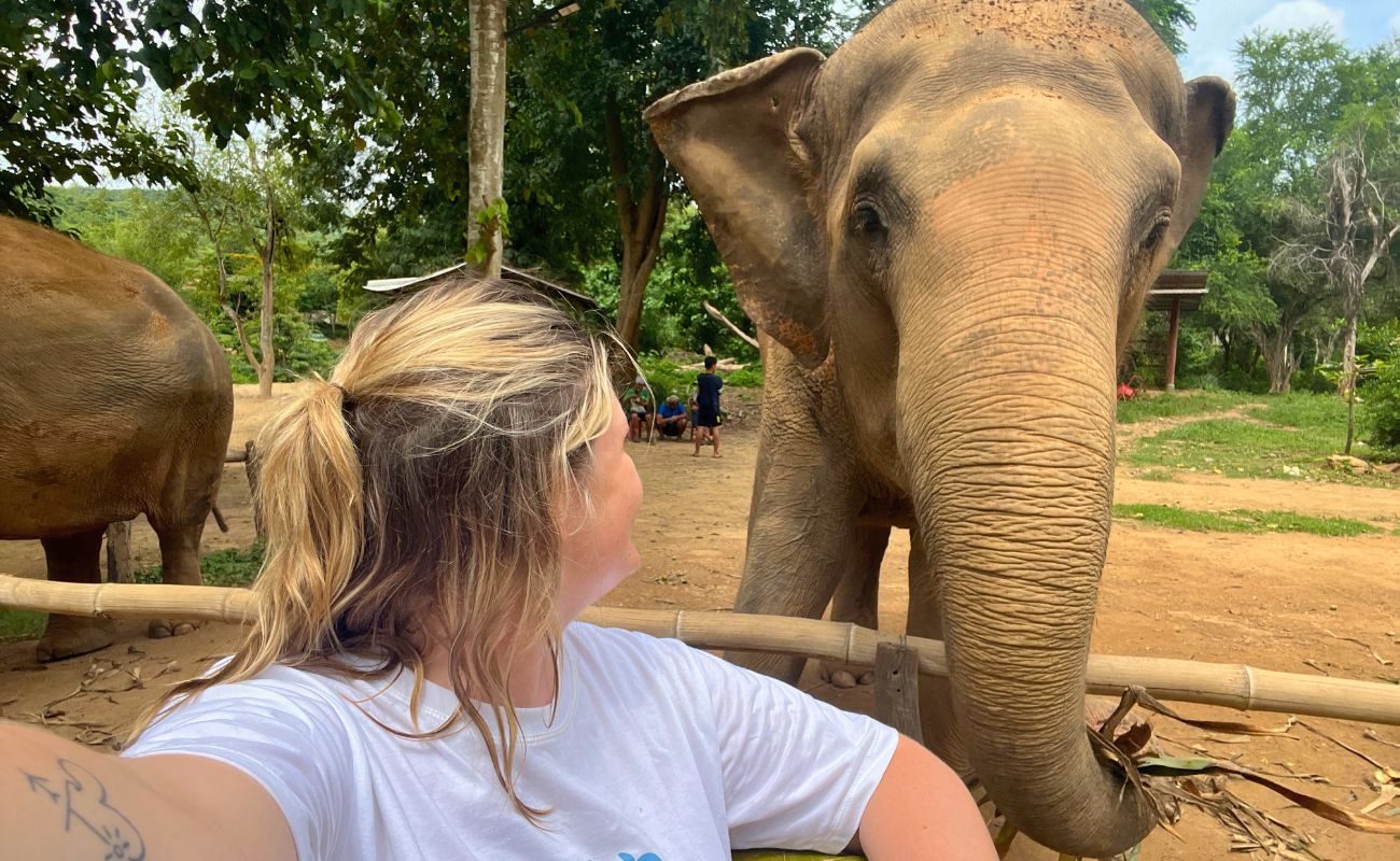 North Discovery 10.1