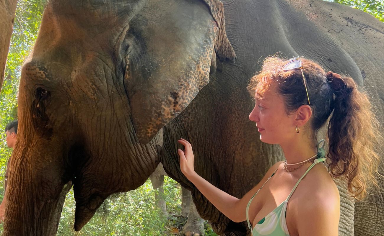 North Discovery 10.2