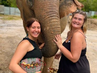 volunteering with elephants in Thailand