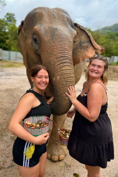volunteering with elephants in Thailand